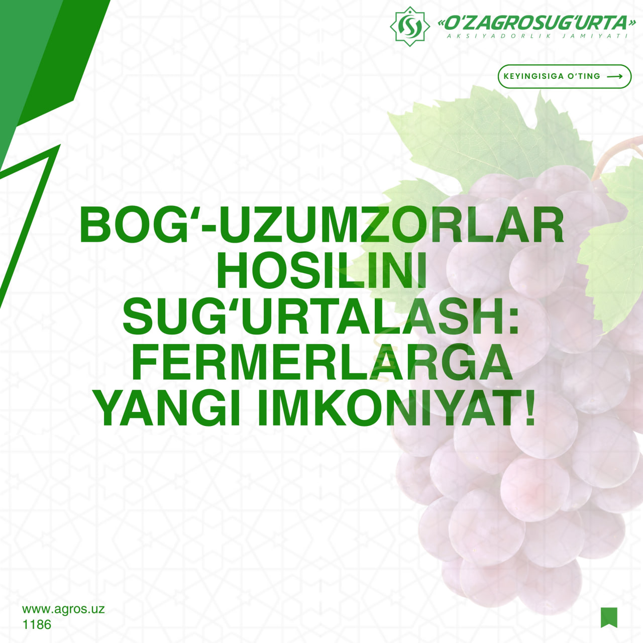 Yangiliklar rasmi